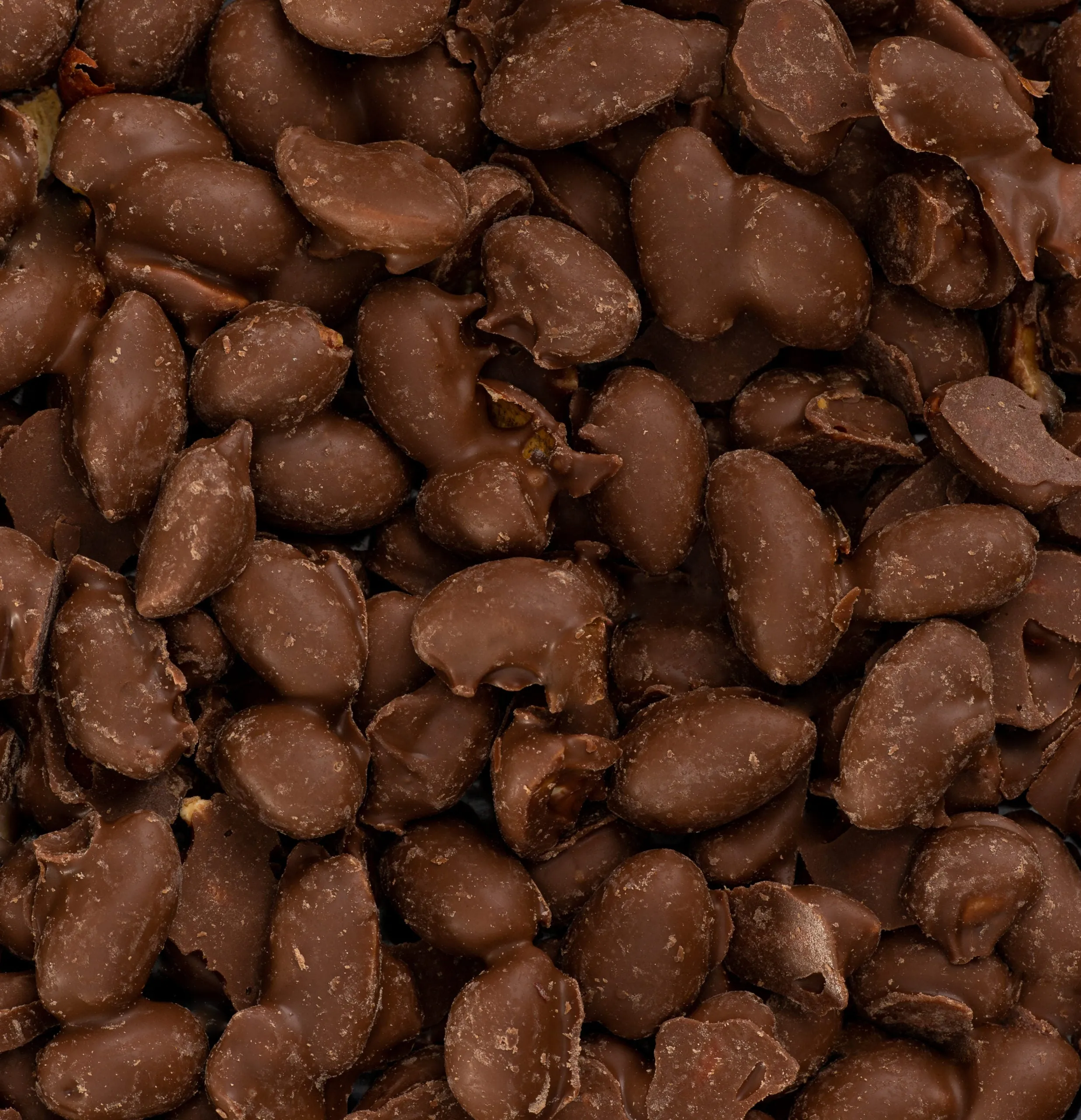 Chocolate Covered Peanuts