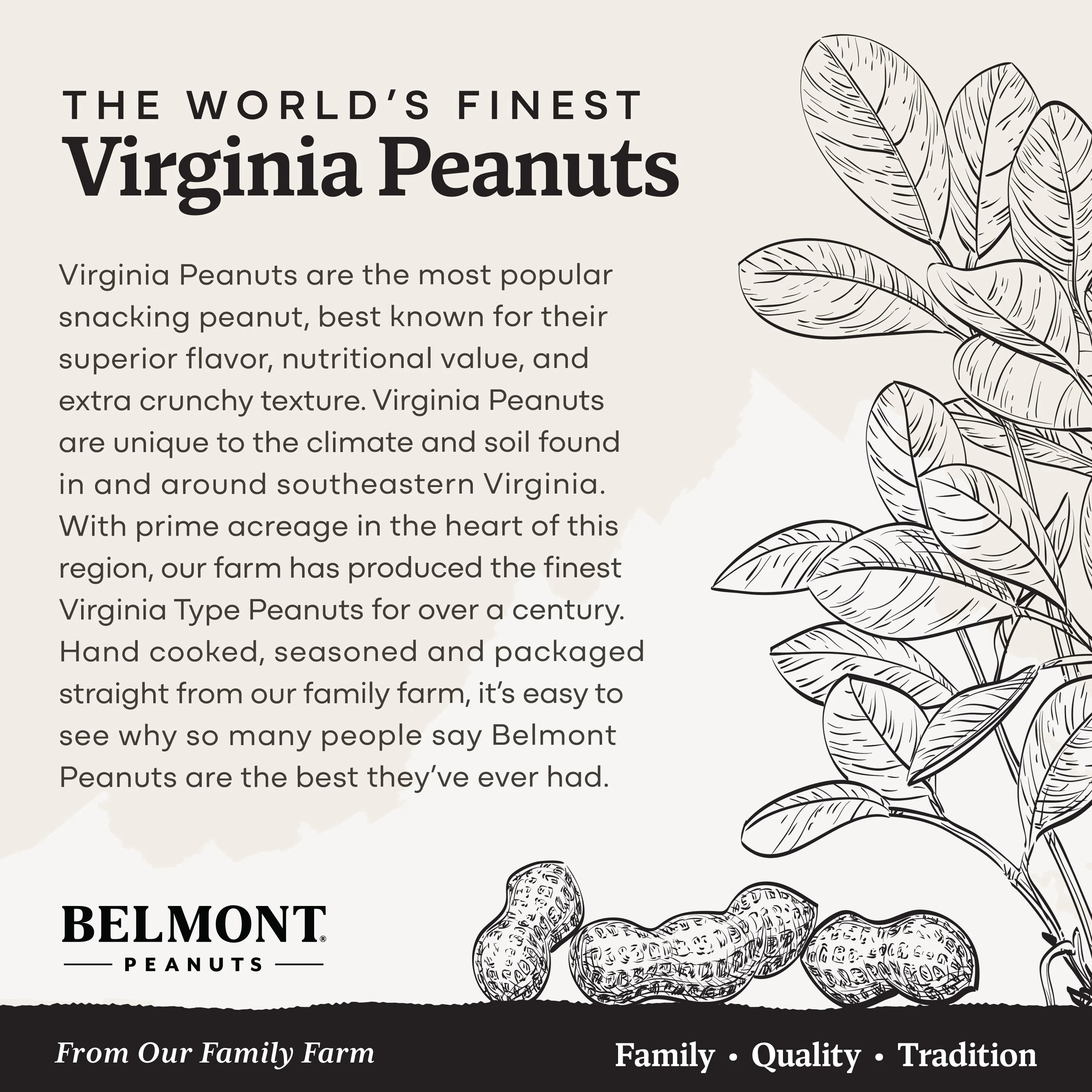 Clark   Hopkins Peanuts Sampler