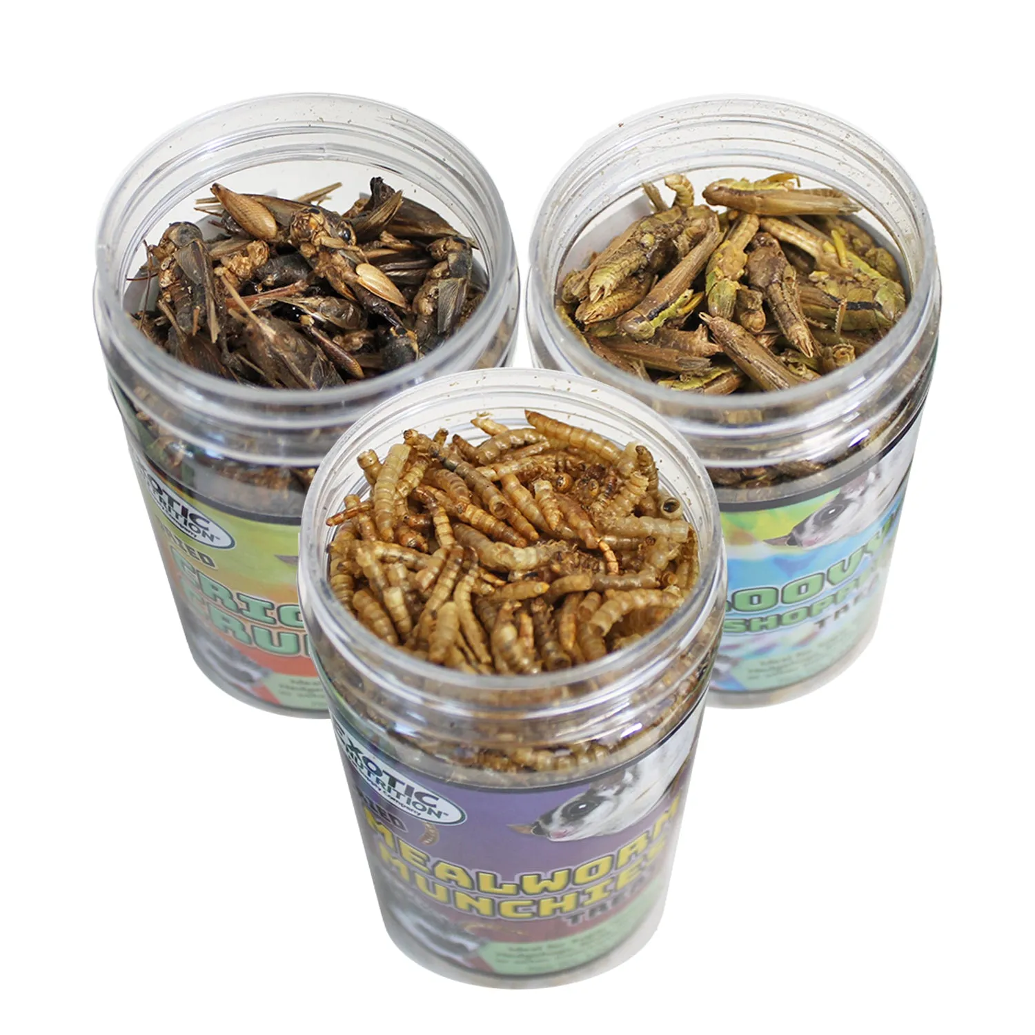 Dried Insect Assortment (3 Pack)