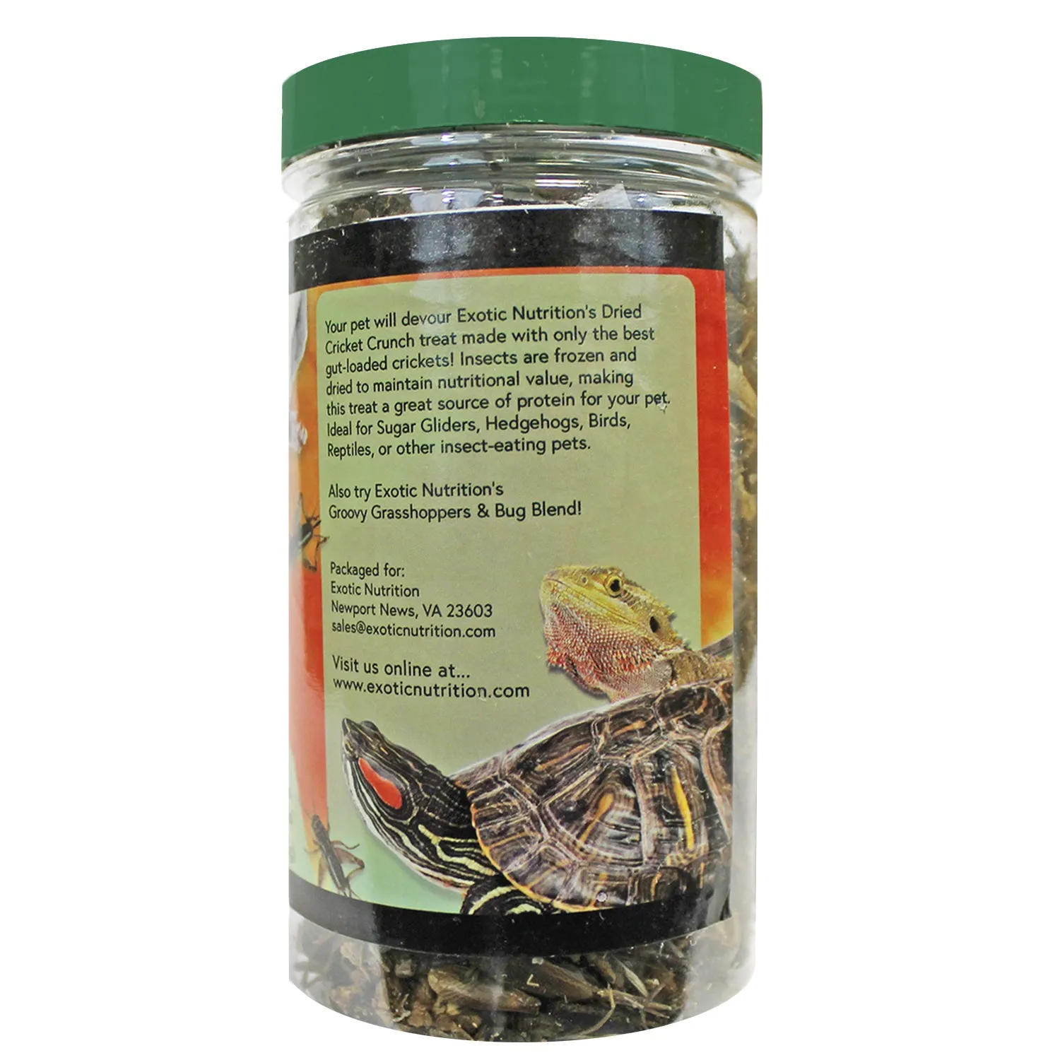 Dried Insect Assortment (3 Pack)