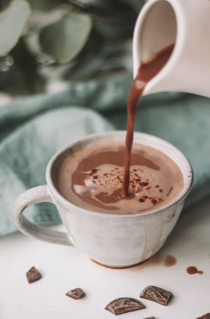 Extraordinary Brownie Hot Chocolate