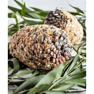 Forage Large Pine Cone Parrot Treat