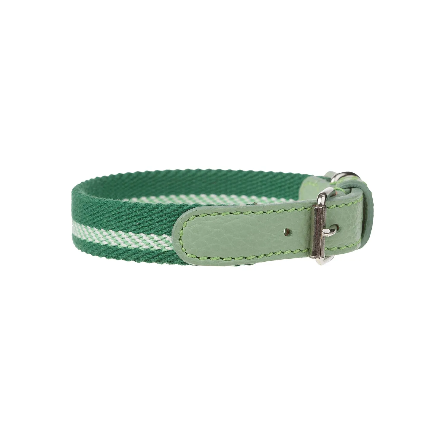 Lineo Dog Collar