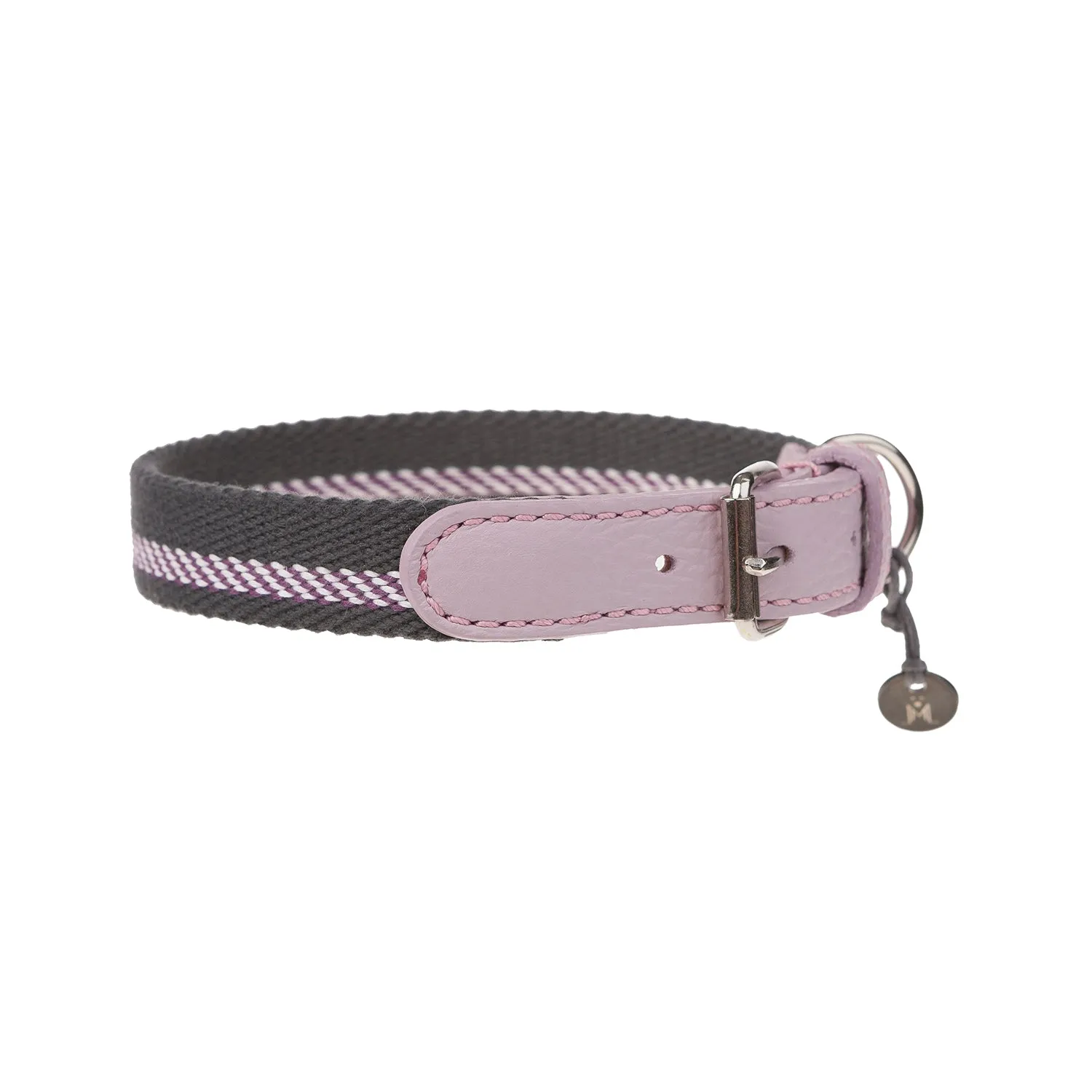 Lineo Dog Collar