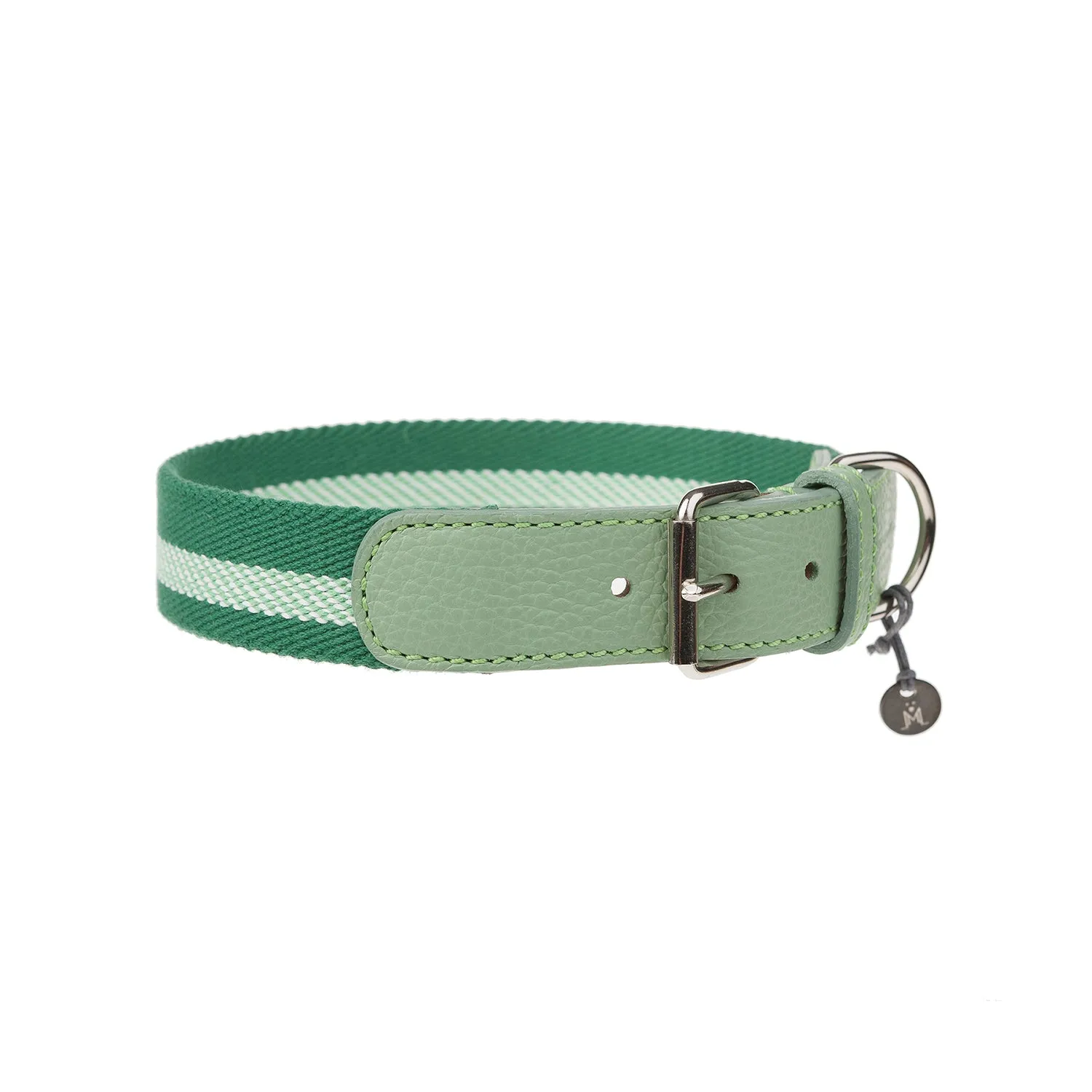 Lineo Dog Collar