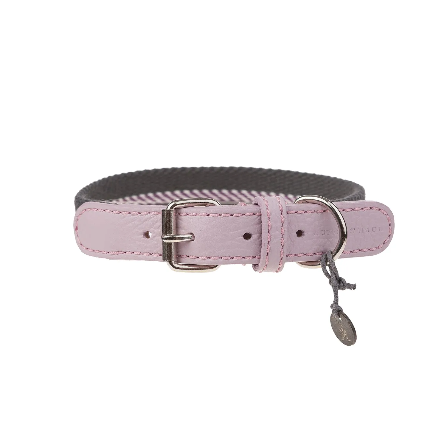 Lineo Dog Collar