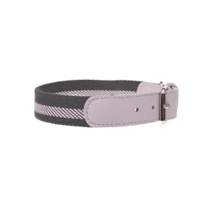 Lineo Dog Collar