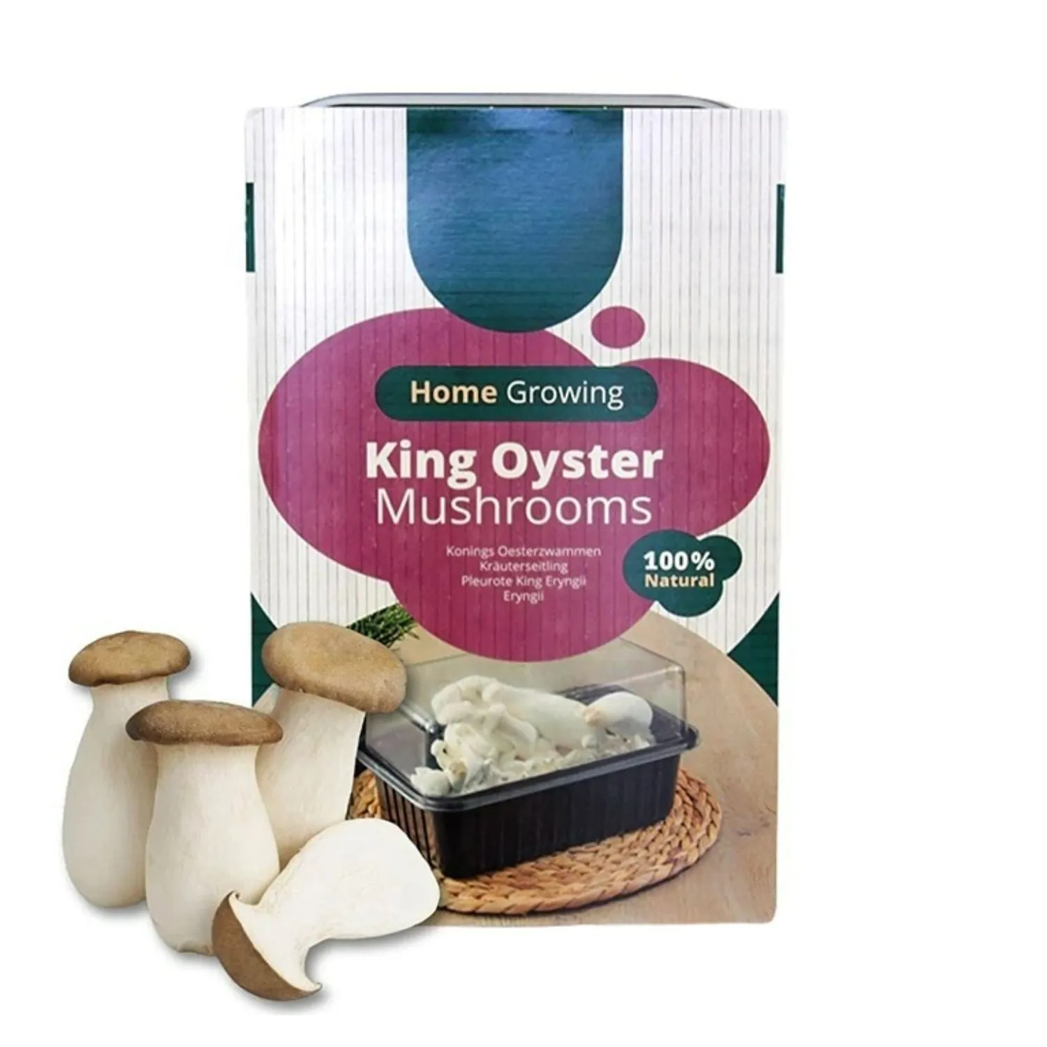 Plantline Mini Champ Home Growing King Oyster Mushroom