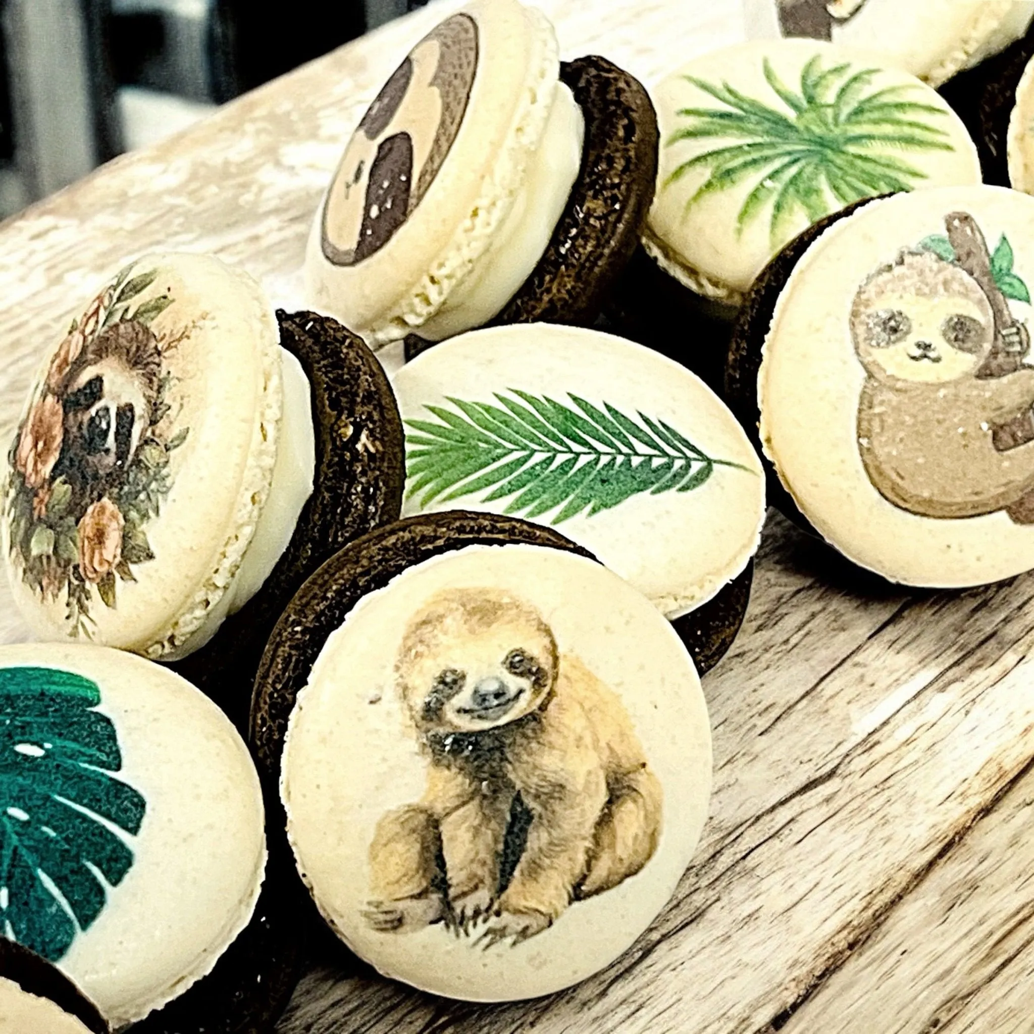 Sloth-Themed Macarons with Edible Art