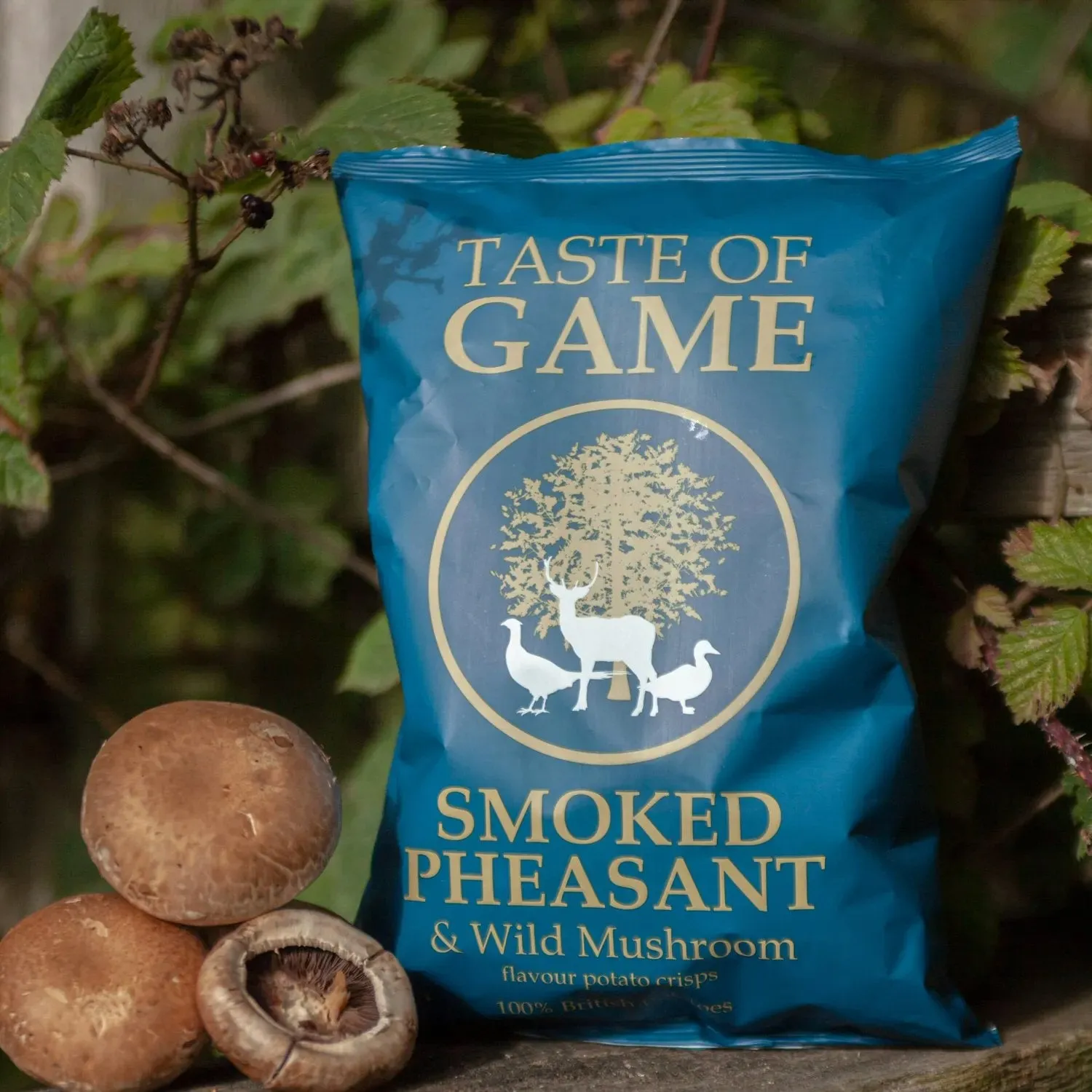 Taste of Game 150g Pheasant & Wild Mushroom Potato Crisps