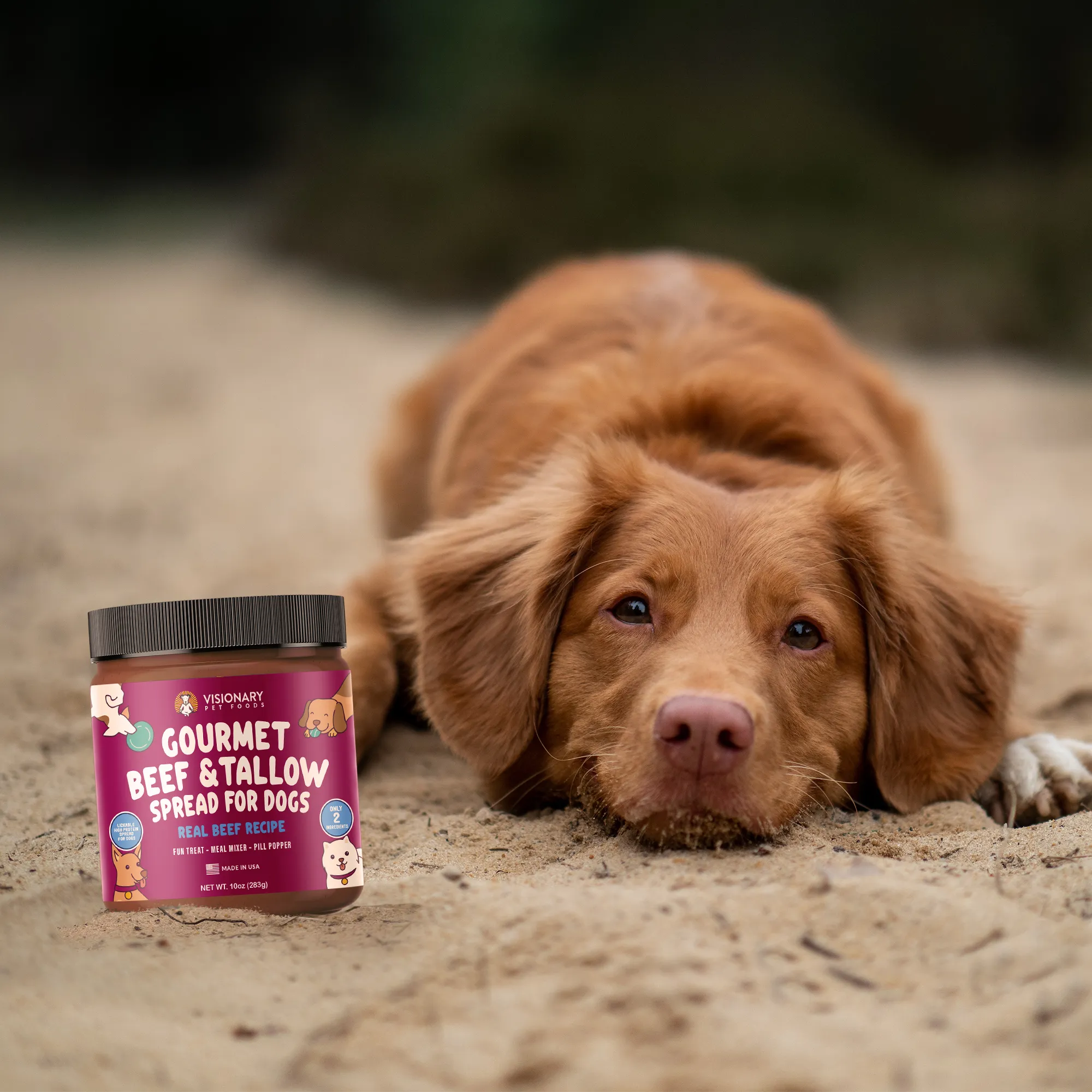 Visionary Pet Foods - Beef Meat Spread for Dogs | Healthier Choice to Peanut Butter | 10oz Jar