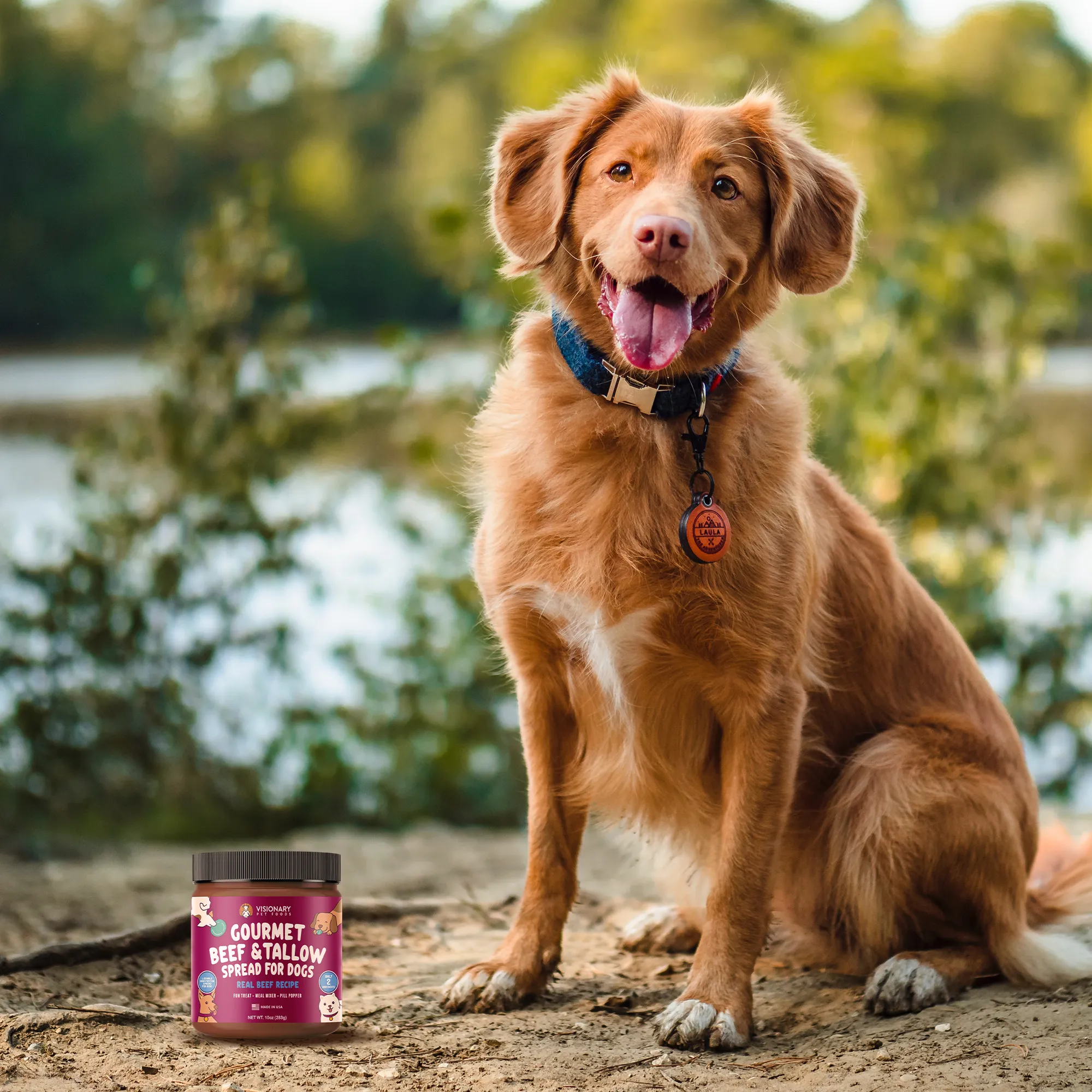 Visionary Pet Foods - Beef Meat Spread for Dogs | Healthier Choice to Peanut Butter | 10oz Jar