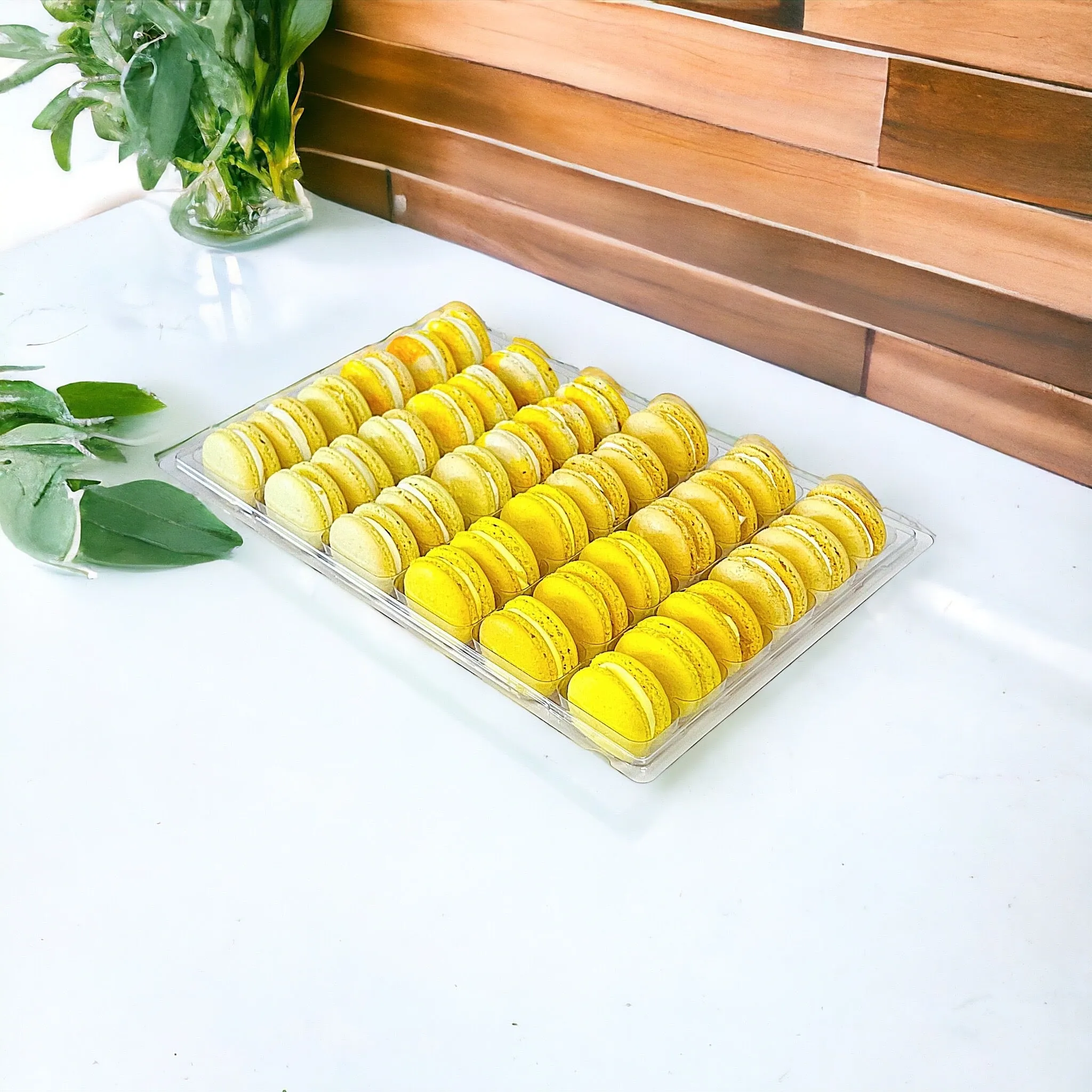 Yellow Vibe: A Flavorful Quartet of French Macarons in One Set | 36 Pack